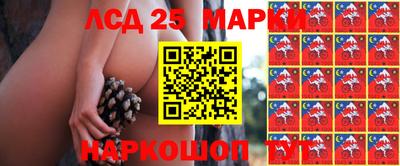 прущие грибы Заводоуковск