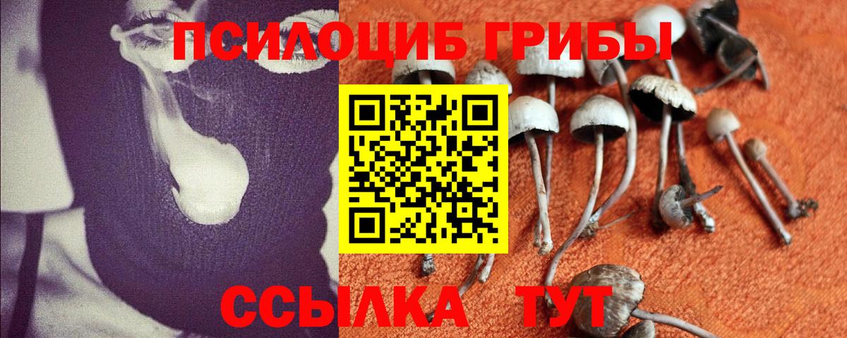 Кунгур  Псилоцибиновые грибы ЛСД  Вход с VPN  Галлюциногенные грибы мухоморы 